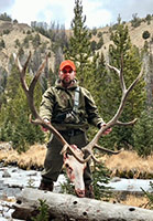 guided elk hunts, wyoming elk hunts, guided wyoming hunts, elk hunting wyoming, bull elk hunts, cow elk hunts, guided bull elk hunts, cody wy