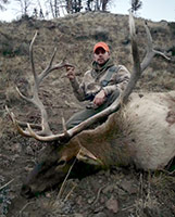 guided elk hunts, wyoming elk hunts, guided wyoming hunts, elk hunting wyoming, bull elk hunts, cow elk hunts, guided bull elk hunts, cody wy