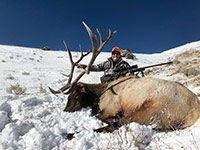 guided elk hunts, wyoming elk hunts, guided wyoming hunts, elk hunting wyoming, bull elk hunts, cow elk hunts, guided bull elk hunts, cody wy