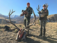 guided elk hunts, wyoming elk hunts, guided wyoming hunts, elk hunting wyoming, bull elk hunts, cow elk hunts, guided bull elk hunts, cody wy