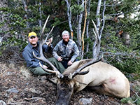 guided elk hunts, wyoming elk hunts, guided wyoming hunts, elk hunting wyoming, bull elk hunts, cow elk hunts, guided bull elk hunts, cody wy