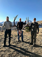 guided elk hunts, wyoming elk hunts, guided wyoming hunts, elk hunting wyoming, bull elk hunts, cow elk hunts, guided bull elk hunts, cody wy