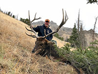 guided elk hunts, wyoming elk hunts, guided wyoming hunts, elk hunting wyoming, bull elk hunts, cow elk hunts, guided bull elk hunts, cody wy