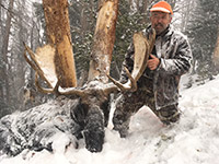 guided moose hunts, wyoming moose hunts, guided wyoming hunts, moose hunting wyoming, bull moose hunts, guided bull moose hunts, cody wy