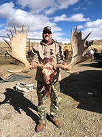 guided moose hunts, wyoming moose hunts, guided wyoming hunts, moose hunting wyoming, bull moose hunts, guided bull moose hunts, cody wy