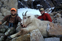 guided big horn sheep hunts, guided sheep hunting wyoming, outfitters wyoming, sheep hunts, ram hunts, hunting big horn sheep rams wy