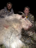 guided big horn sheep hunts, guided sheep hunting wyoming, outfitters wyoming, sheep hunts, ram hunts, hunting big horn sheep rams wy