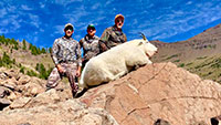 guided big horn sheep hunts, guided sheep hunting wyoming, outfitters wyoming, sheep hunts, ram hunts, hunting big horn sheep rams wy