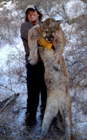 guided mountain lion hunts in Wyoming, lion hunting wyoming, mountain lions hunts wyoming