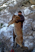 guided mountain lion hunts in Wyoming, lion hunting wyoming, mountain lions hunts wyoming