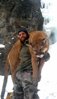 guided mountain lion hunts in Wyoming, lion hunting wyoming, mountain lions hunts wyoming