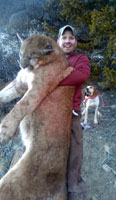 guided mountain lion hunts in Wyoming, lion hunting wyoming, mountain lions hunts wyoming