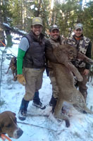 guided mountain lion hunts in Wyoming, lion hunting wyoming, mountain lions hunts wyoming