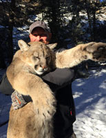 guided mountain lion hunts in Wyoming, lion hunting wyoming, mountain lions hunts wyoming