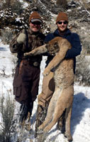 guided mountain lion hunts in Wyoming, lion hunting wyoming, mountain lions hunts wyoming