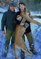 guided mountain lion hunts in Wyoming, lion hunting wyoming, mountain lions hunts wyoming