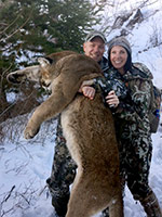 guided mountain lion hunts in Wyoming, lion hunting wyoming, mountain lions hunts wyoming