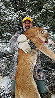 guided mountain lion hunts in Wyoming, lion hunting wyoming, mountain lions hunts wyoming