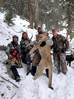 guided mountain lion hunts in Wyoming, lion hunting wyoming, mountain lions hunts wyoming