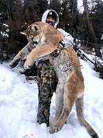 guided mountain lion hunts in Wyoming, lion hunting wyoming, mountain lions hunts wyoming