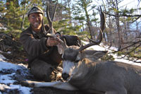 guided mule deer hunts wyoming, mule deer hunts, guided hunts wyoming, mule deer hunting