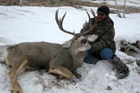 guided mule deer hunts wyoming, mule deer hunts, guided hunts wyoming, mule deer hunting