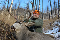 guided mule deer hunts wyoming, mule deer hunts, guided hunts wyoming, mule deer hunting