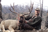 guided mule deer hunts wyoming, mule deer hunts, guided hunts wyoming, mule deer hunting