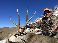 guided mule deer hunts wyoming, mule deer hunts, guided hunts wyoming, mule deer hunting