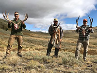 guided mule deer hunts wyoming, mule deer hunts, guided hunts wyoming, mule deer hunting