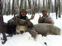 guided mule deer hunts wyoming, mule deer hunts, guided hunts wyoming, mule deer hunting