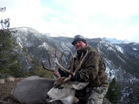 guided mule deer hunts wyoming, mule deer hunts, guided hunts wyoming, mule deer hunting