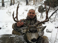 guided mule deer hunts wyoming, mule deer hunts, guided hunts wyoming, mule deer hunting