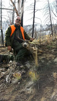 guided mule deer hunts wyoming, mule deer hunts, guided hunts wyoming, mule deer hunting