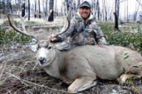 guided mule deer hunts wyoming, mule deer hunts, guided hunts wyoming, mule deer hunting