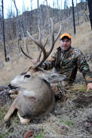 guided mule deer hunts wyoming, mule deer hunts, guided hunts wyoming, mule deer hunting