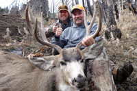 guided mule deer hunts wyoming, mule deer hunts, guided hunts wyoming, mule deer hunting