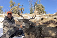 guided mule deer hunts wyoming, mule deer hunts, guided hunts wyoming, mule deer hunting