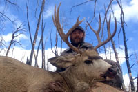 guided mule deer hunts wyoming, mule deer hunts, guided hunts wyoming, mule deer hunting