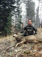 guided mule deer hunts wyoming, mule deer hunts, guided hunts wyoming, mule deer hunting