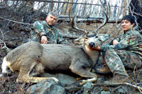 guided mule deer hunts wyoming, mule deer hunts, guided hunts wyoming, mule deer hunting