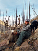 guided mule deer hunts wyoming, mule deer hunts, guided hunts wyoming, mule deer hunting