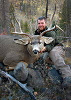 guided mule deer hunts wyoming, mule deer hunts, guided hunts wyoming, mule deer hunting