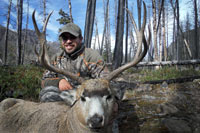 guided mule deer hunts wyoming, mule deer hunts, guided hunts wyoming, mule deer hunting