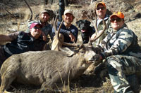 guided mule deer hunts wyoming, mule deer hunts, guided hunts wyoming, mule deer hunting