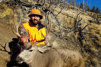 guided mule deer hunts wyoming, mule deer hunts, guided hunts wyoming, mule deer hunting