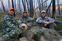 guided mule deer hunts wyoming, mule deer hunts, guided hunts wyoming, mule deer hunting