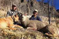 guided mule deer hunts wyoming, mule deer hunts, guided hunts wyoming, mule deer hunting