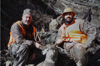 guided mule deer hunts wyoming, mule deer hunts, guided hunts wyoming, mule deer hunting