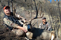 guided mule deer hunts wyoming, mule deer hunts, guided hunts wyoming, mule deer hunting